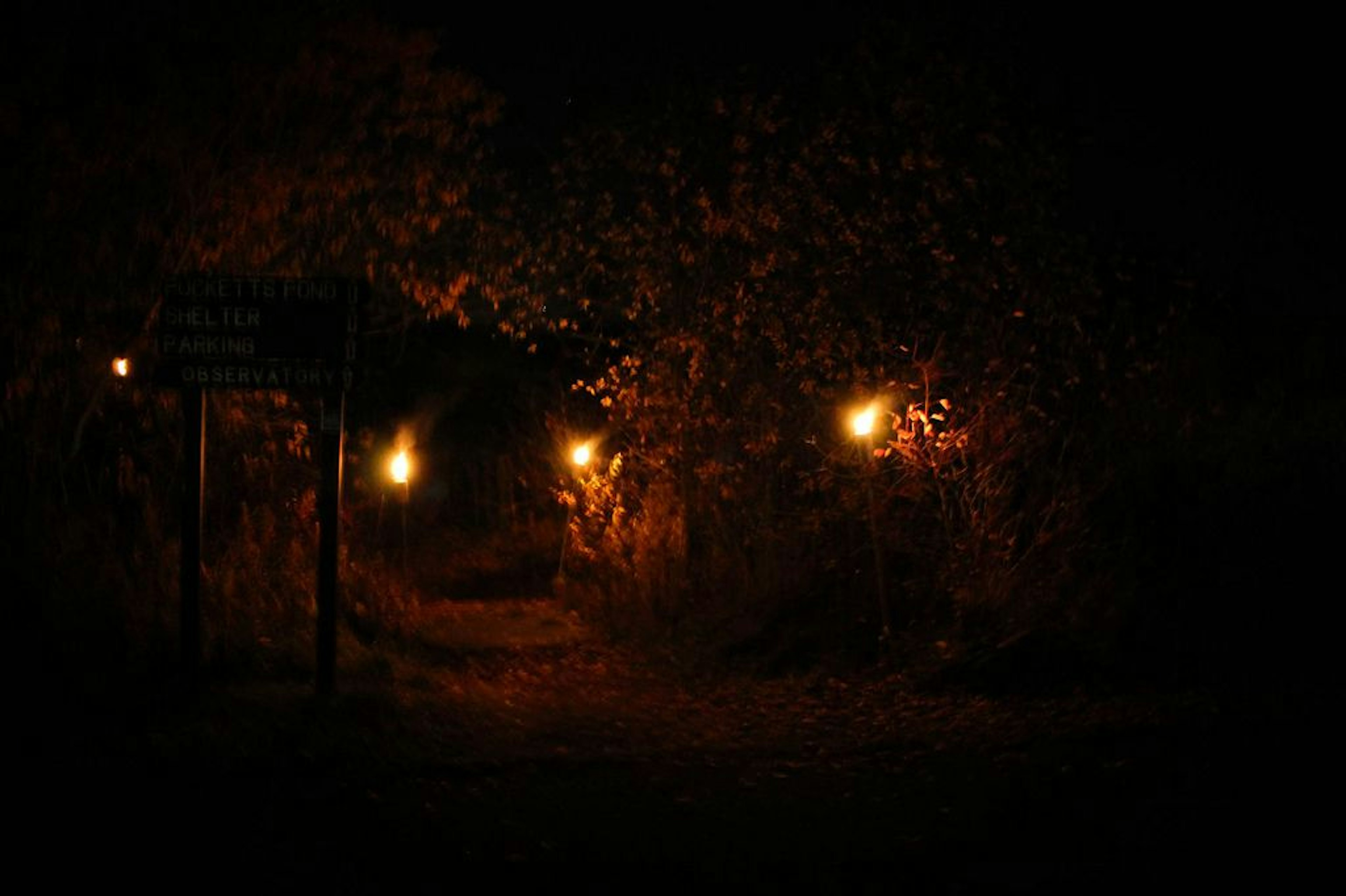 A haunted Trail