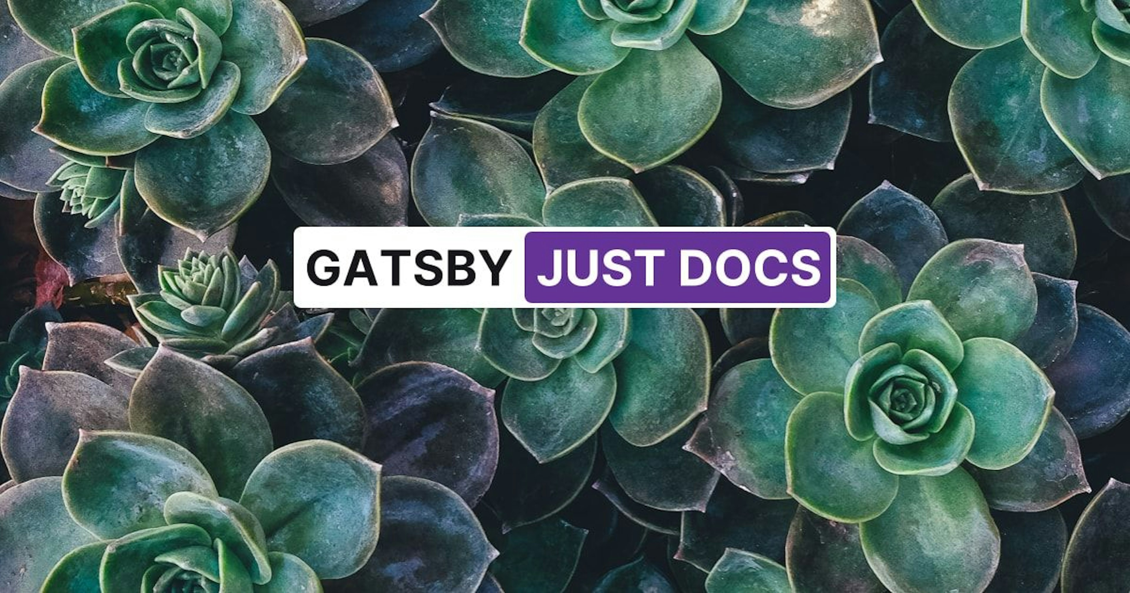 Gatsby Just Docs